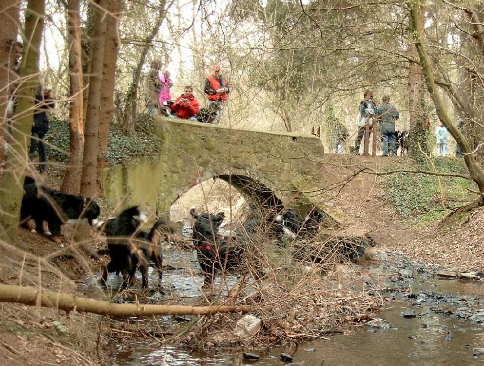 20190413-Foto-Historische-Steinbachbruecke