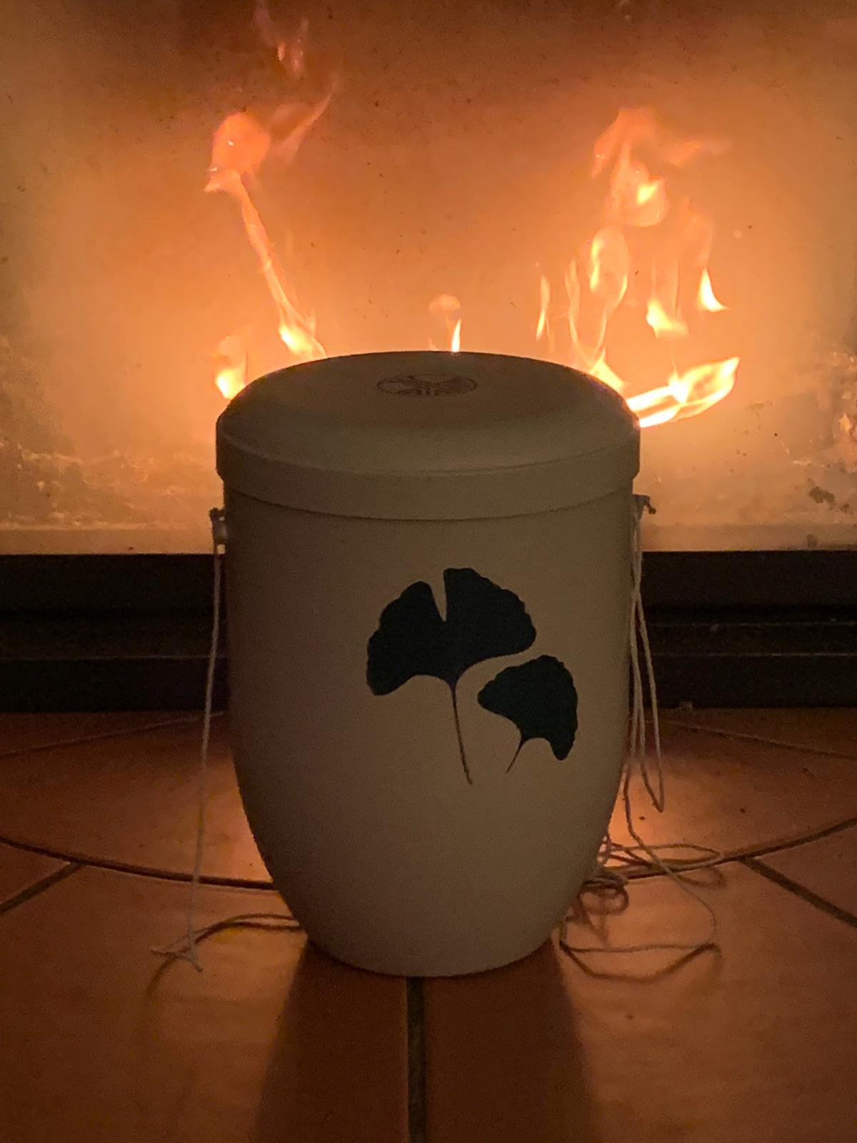 20201124-Urne-Rasche